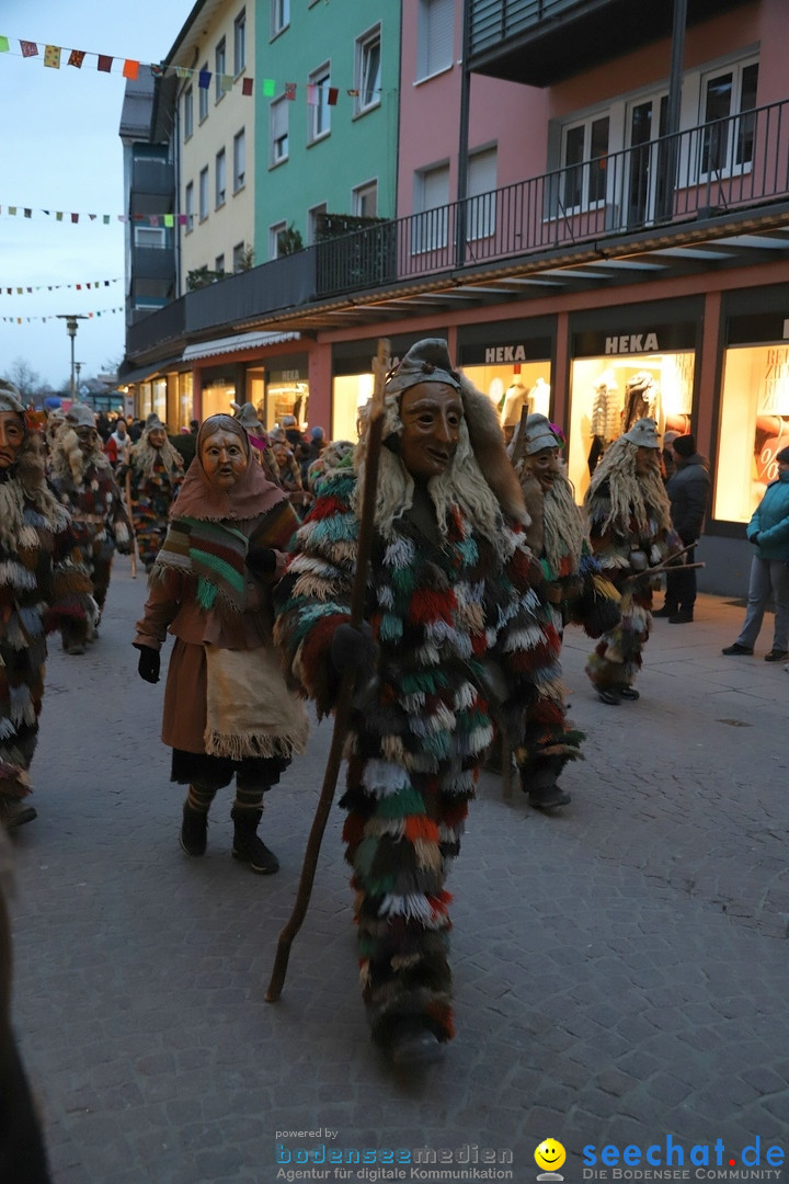 Gruenderumzug und Narrenbaumstellen: Friedrichshafen, 02.02.2019