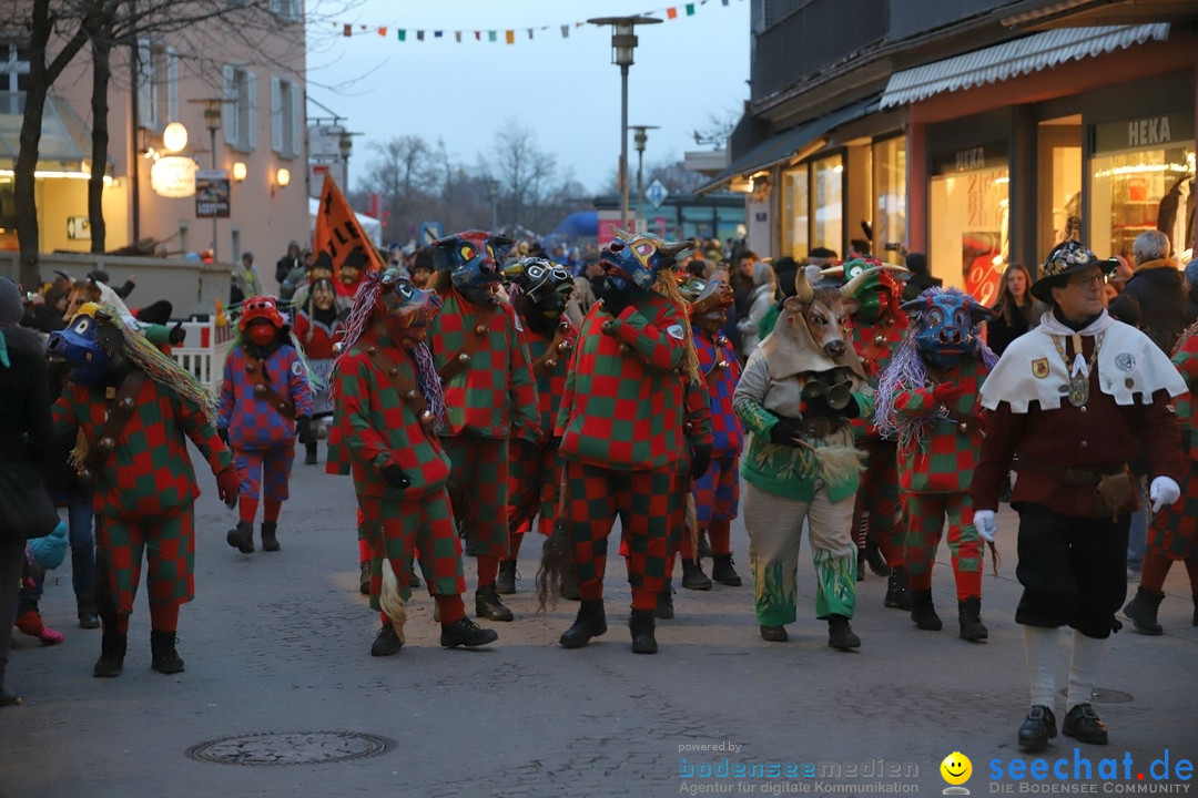 Gruenderumzug und Narrenbaumstellen: Friedrichshafen, 02.02.2019