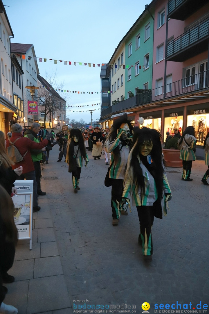 Gruenderumzug und Narrenbaumstellen: Friedrichshafen, 02.02.2019