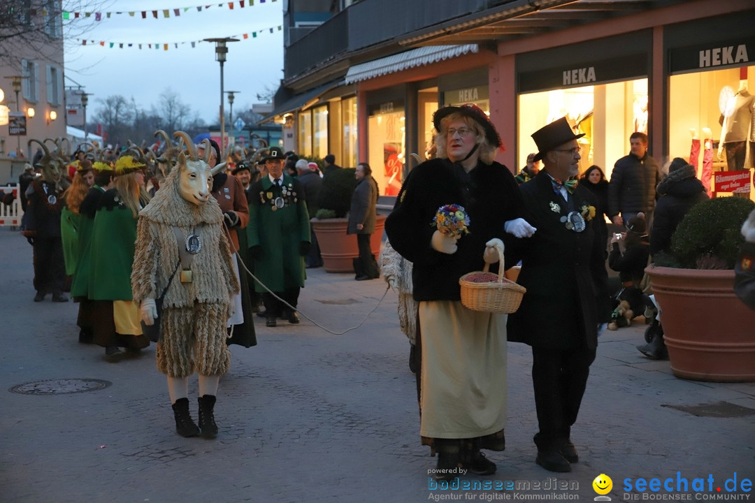 Gruenderumzug und Narrenbaumstellen: Friedrichshafen, 02.02.2019