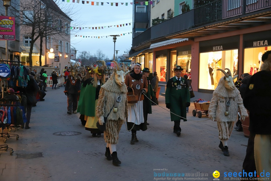 Gruenderumzug und Narrenbaumstellen: Friedrichshafen, 02.02.2019