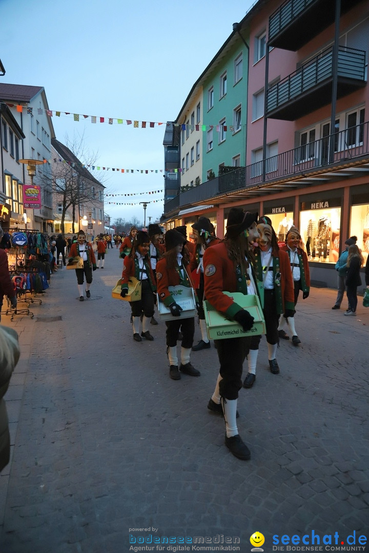 Gruenderumzug und Narrenbaumstellen: Friedrichshafen, 02.02.2019