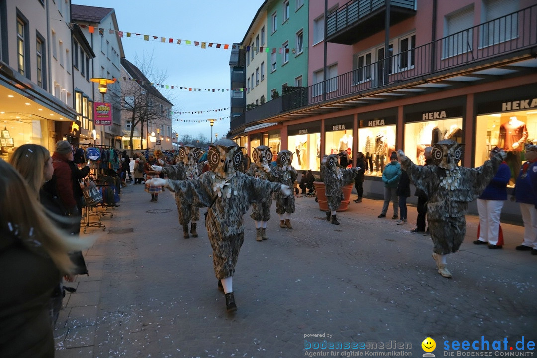 Gruenderumzug und Narrenbaumstellen: Friedrichshafen, 02.02.2019