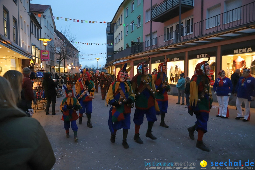 Gruenderumzug und Narrenbaumstellen: Friedrichshafen, 02.02.2019