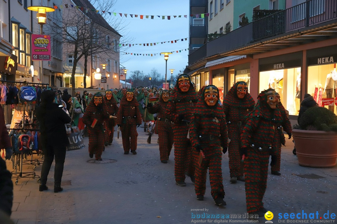 Gruenderumzug und Narrenbaumstellen: Friedrichshafen, 02.02.2019