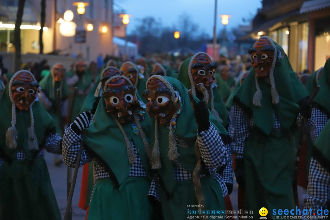 Gruenderumzug und Narrenbaumstellen: Friedrichshafen, 02.02.2019