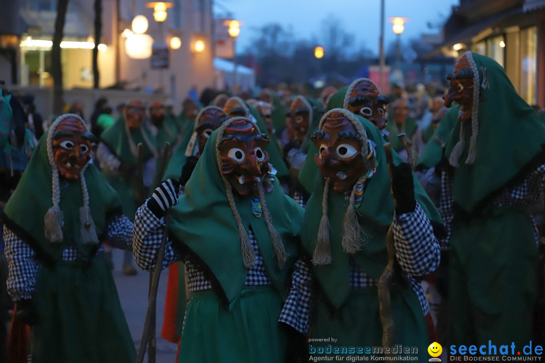 Gruenderumzug und Narrenbaumstellen: Friedrichshafen, 02.02.2019