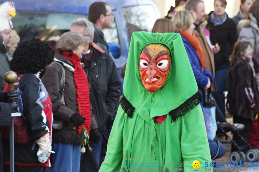 Narrenumzug: Villingen, 16.02.2010