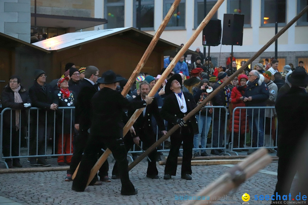 Gruenderumzug und Narrenbaumstellen: Friedrichshafen, 02.02.2019