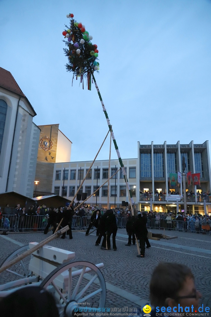 Gruenderumzug und Narrenbaumstellen: Friedrichshafen, 02.02.2019