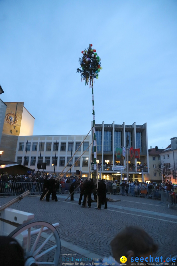 Gruenderumzug und Narrenbaumstellen: Friedrichshafen, 02.02.2019