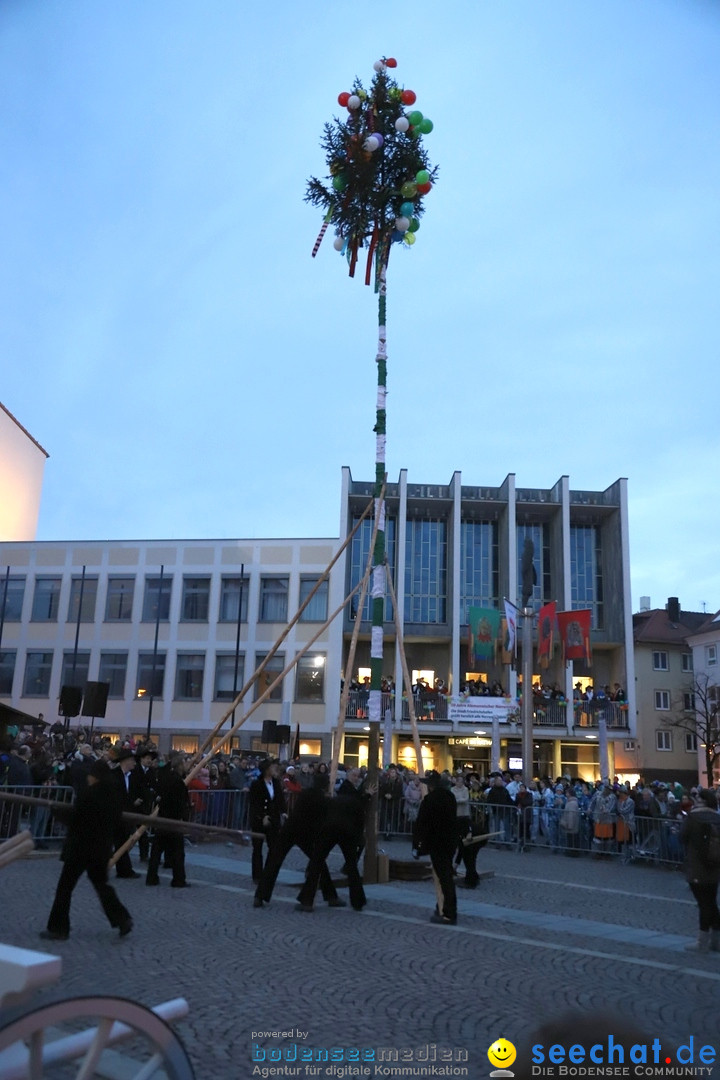 Gruenderumzug und Narrenbaumstellen: Friedrichshafen, 02.02.2019