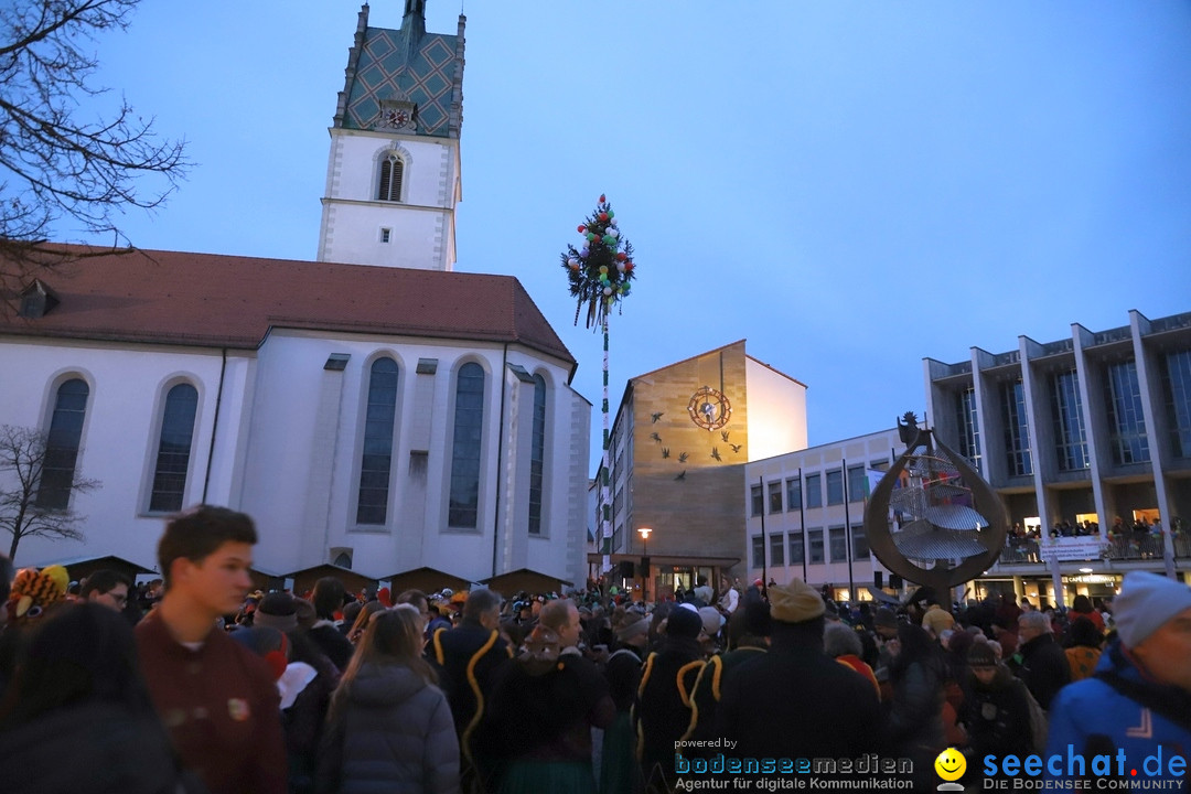 Gruenderumzug und Narrenbaumstellen: Friedrichshafen, 02.02.2019