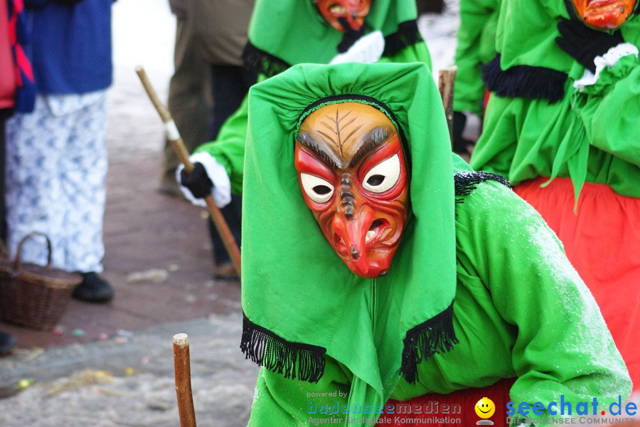 Narrenumzug: Villingen, 16.02.2010