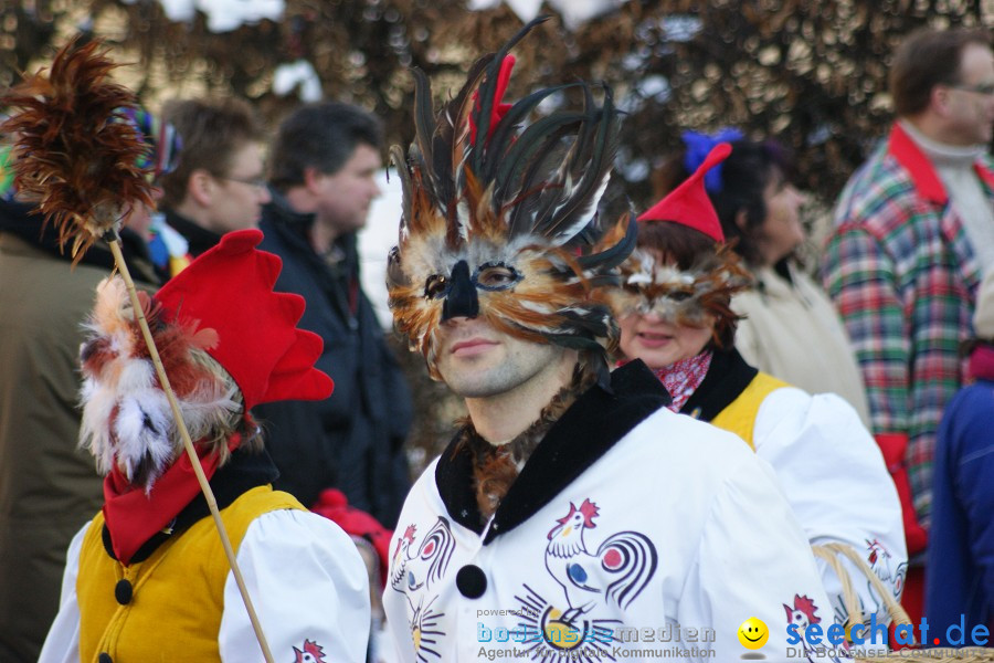 Narrenumzug: Villingen, 16.02.2010