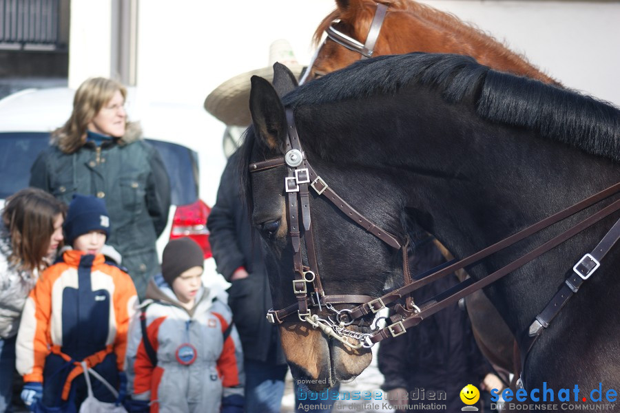 Narrenumzug: Villingen, 16.02.2010