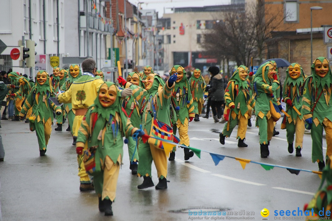 ANR - Fasnetsumzug: Friedrichshafen am Bodensee, 03.02.2019