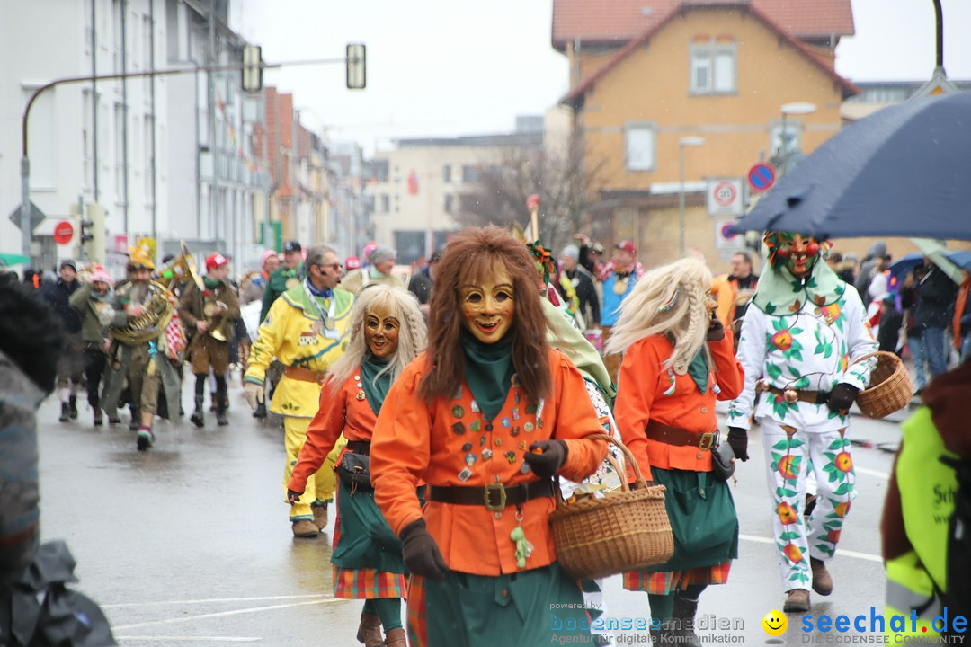 ANR - Fasnetsumzug: Friedrichshafen am Bodensee, 03.02.2019