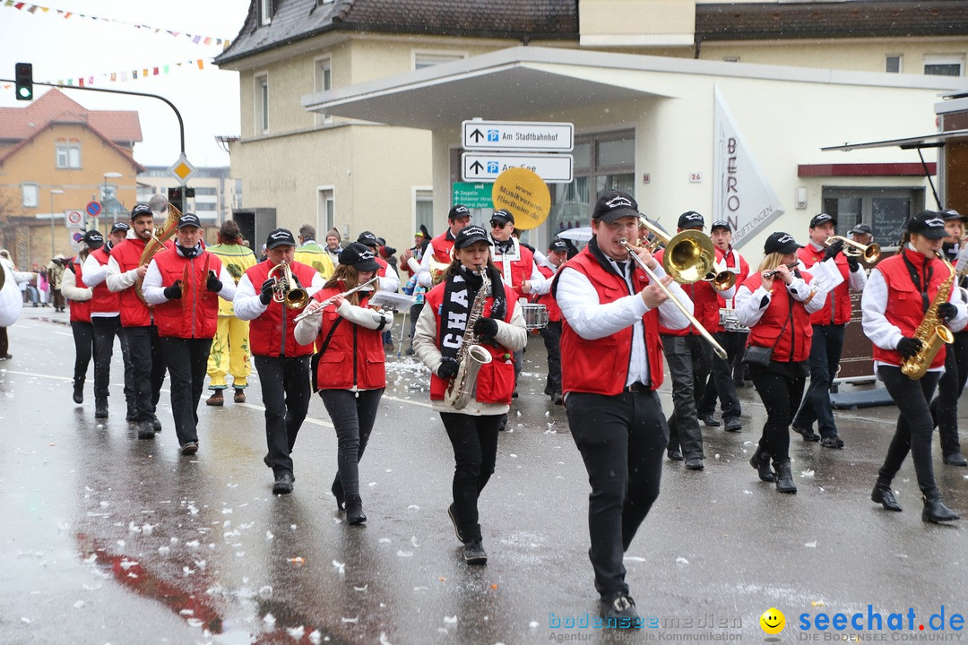 ANR - Fasnetsumzug: Friedrichshafen am Bodensee, 03.02.2019