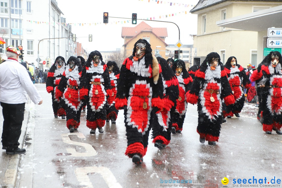 ANR - Fasnetsumzug: Friedrichshafen am Bodensee, 03.02.2019