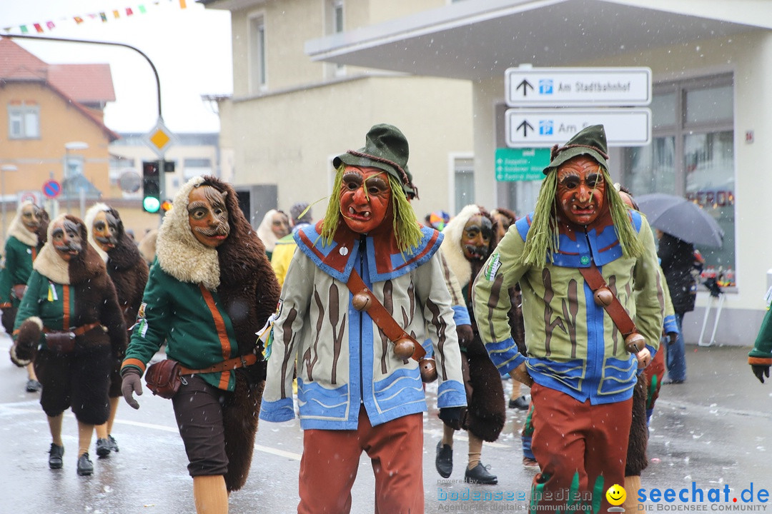 ANR - Fasnetsumzug: Friedrichshafen am Bodensee, 03.02.2019