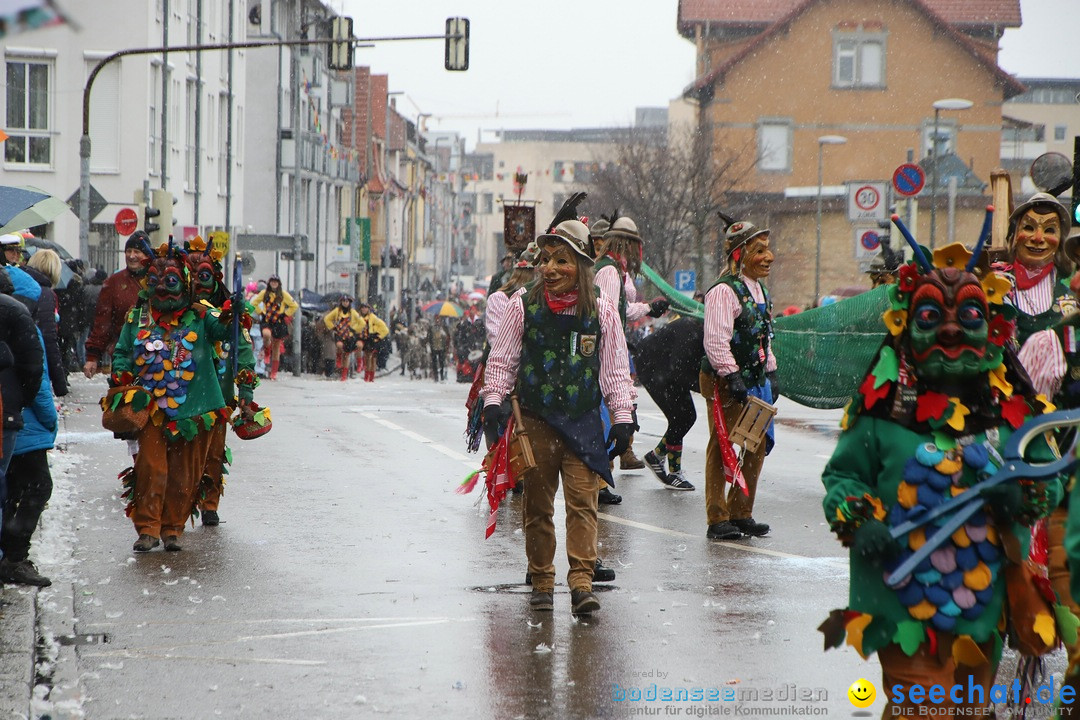 ANR - Fasnetsumzug: Friedrichshafen am Bodensee, 03.02.2019