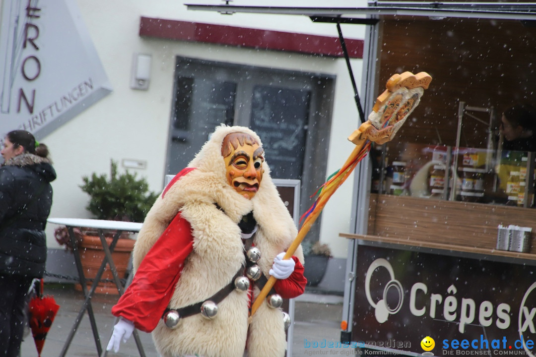 ANR - Fasnetsumzug: Friedrichshafen am Bodensee, 03.02.2019