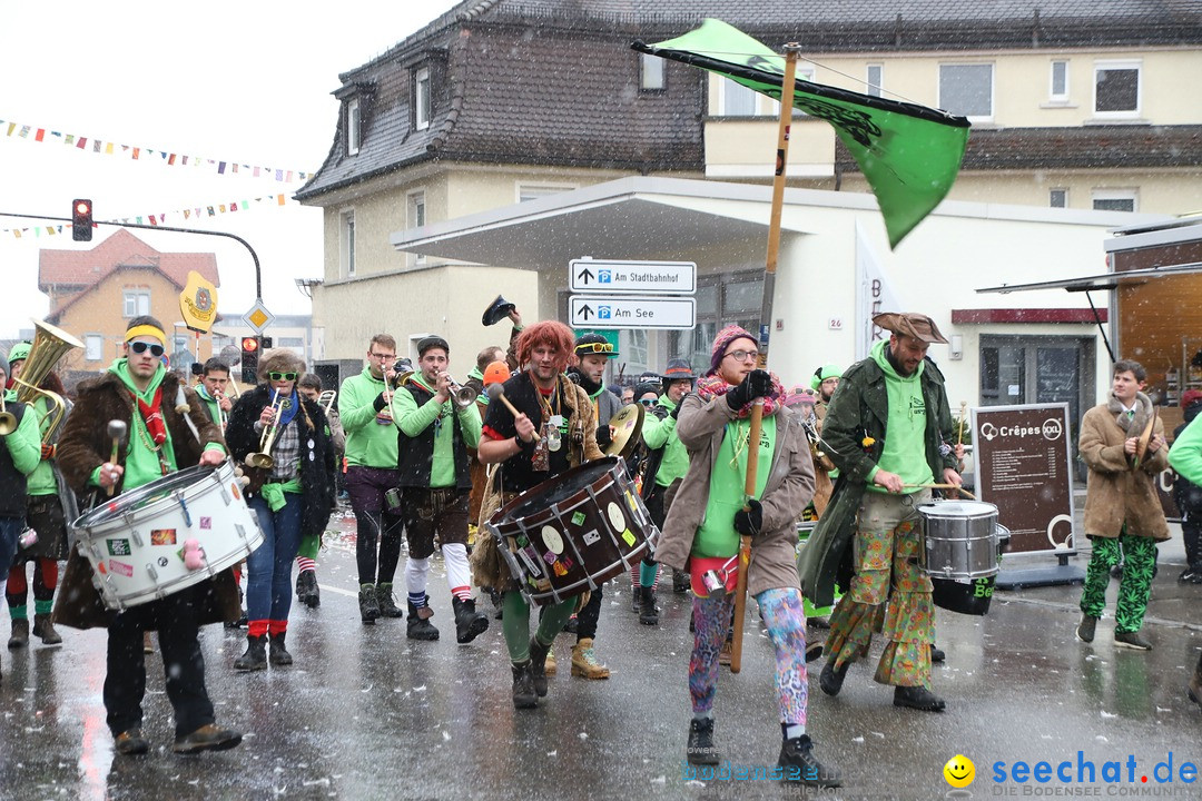 ANR - Fasnetsumzug: Friedrichshafen am Bodensee, 03.02.2019