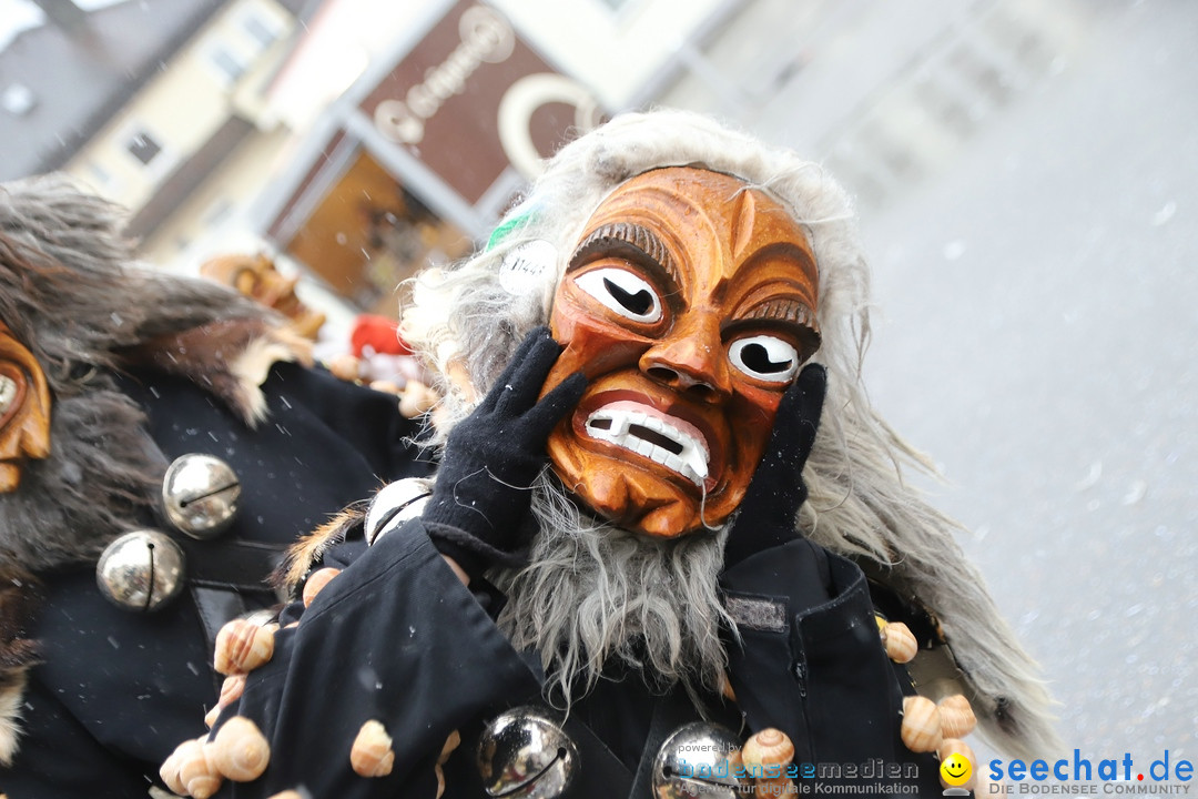 ANR - Fasnetsumzug: Friedrichshafen am Bodensee, 03.02.2019