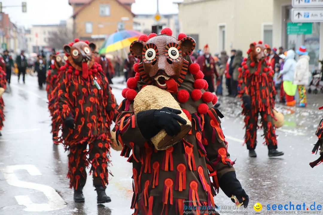 ANR - Fasnetsumzug: Friedrichshafen am Bodensee, 03.02.2019