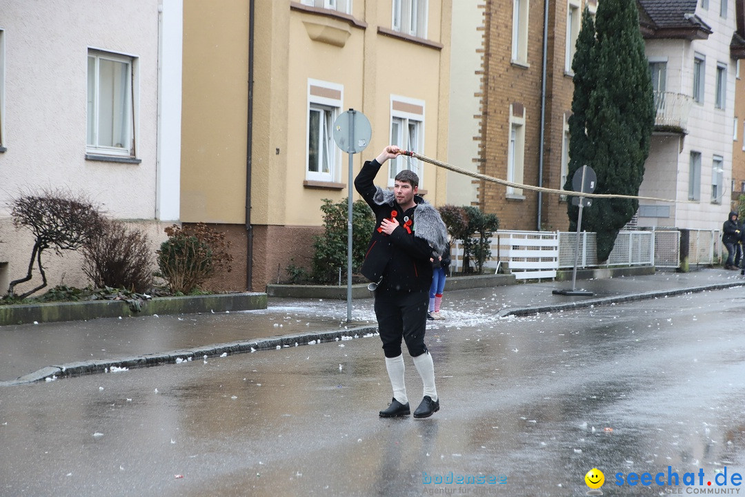 ANR - Fasnetsumzug: Friedrichshafen am Bodensee, 03.02.2019