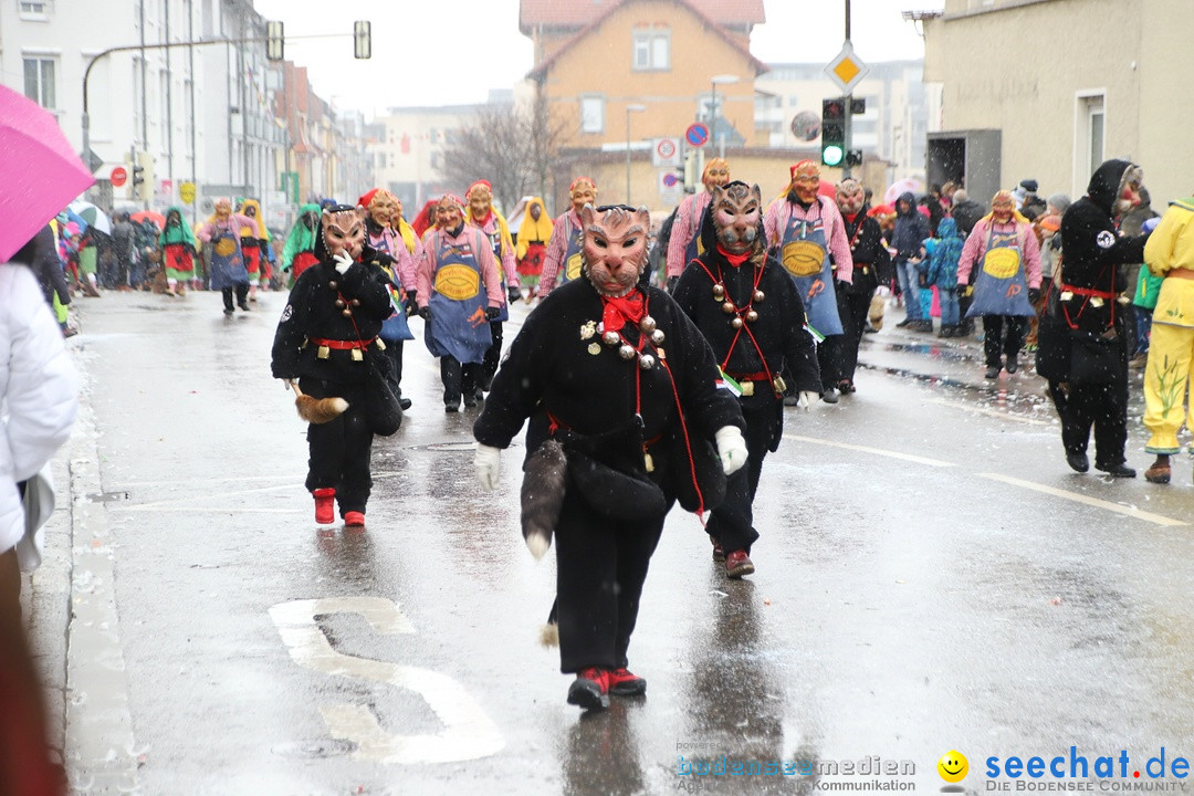 ANR - Fasnetsumzug: Friedrichshafen am Bodensee, 03.02.2019