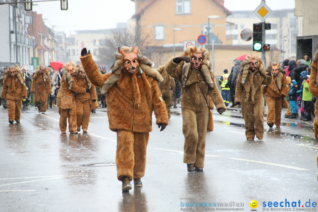 ANR - Fasnetsumzug: Friedrichshafen am Bodensee, 03.02.2019