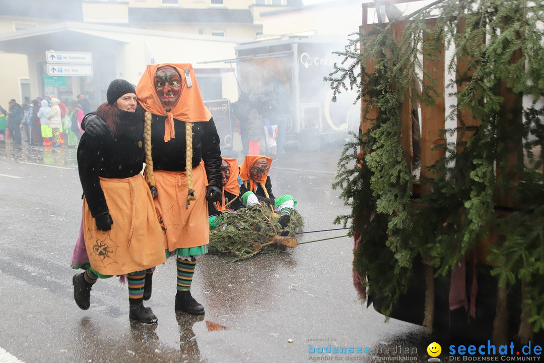 ANR - Fasnetsumzug: Friedrichshafen am Bodensee, 03.02.2019