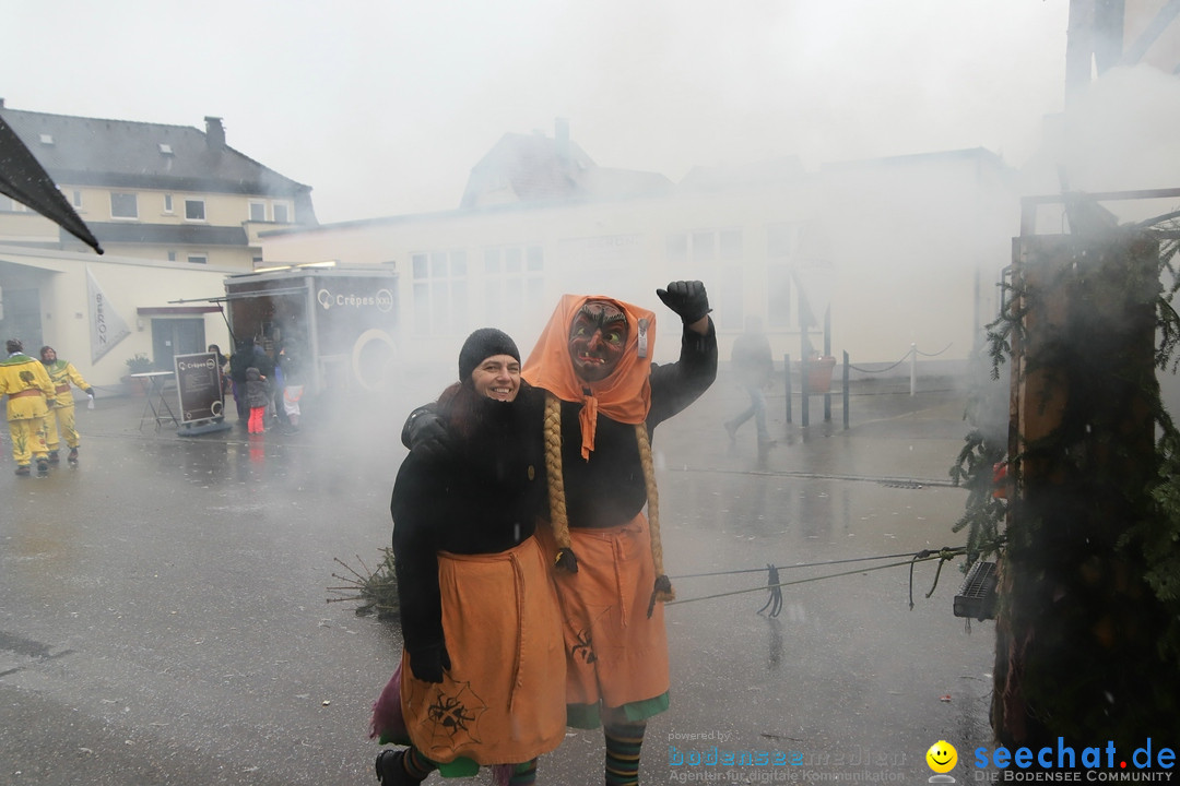 ANR - Fasnetsumzug: Friedrichshafen am Bodensee, 03.02.2019