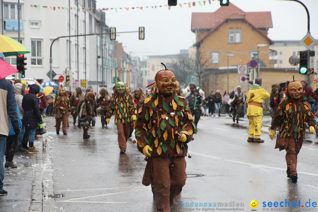 ANR - Fasnetsumzug: Friedrichshafen am Bodensee, 03.02.2019