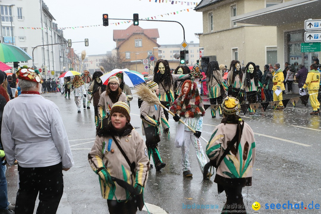 ANR - Fasnetsumzug: Friedrichshafen am Bodensee, 03.02.2019