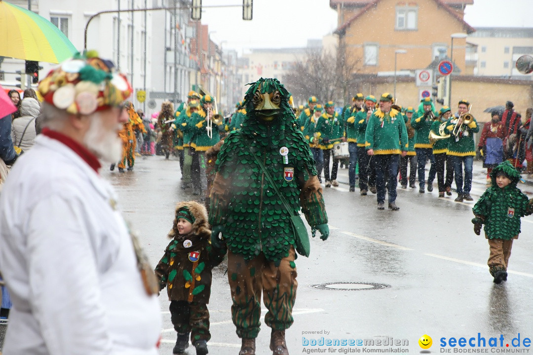 ANR - Fasnetsumzug: Friedrichshafen am Bodensee, 03.02.2019