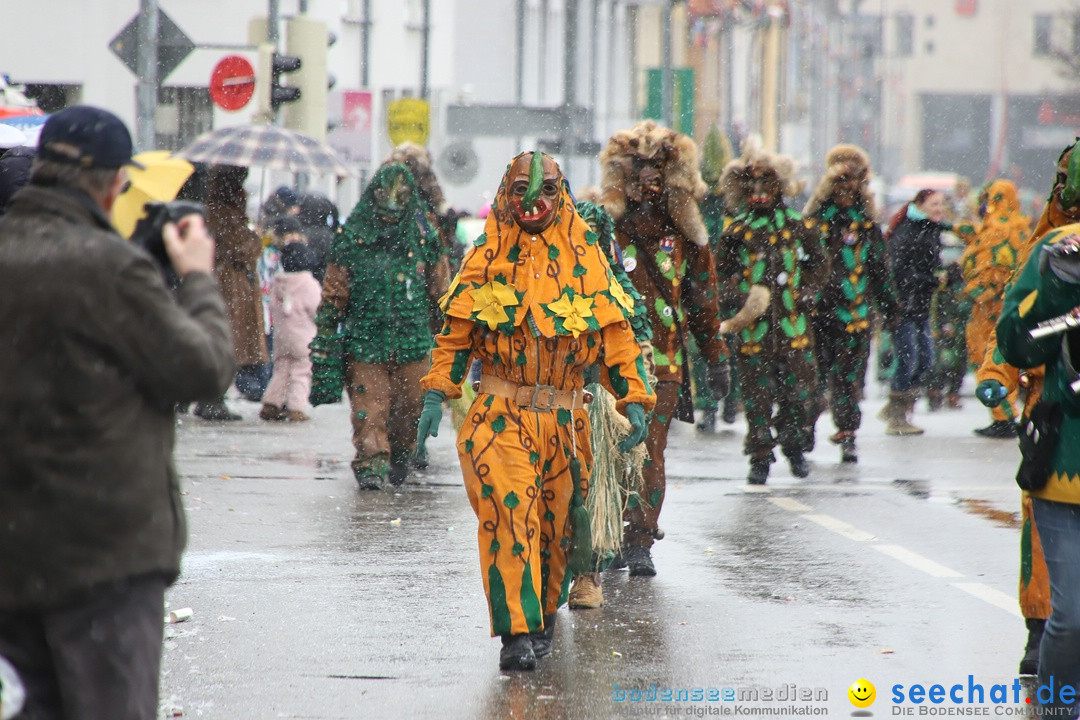 ANR - Fasnetsumzug: Friedrichshafen am Bodensee, 03.02.2019