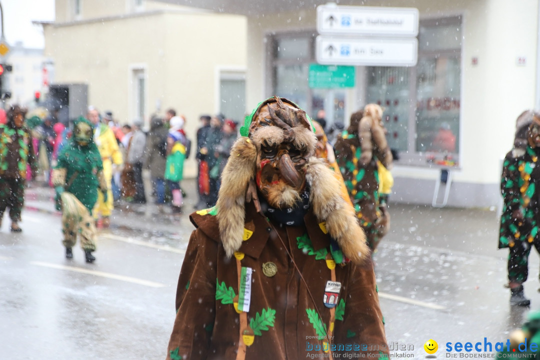 ANR - Fasnetsumzug: Friedrichshafen am Bodensee, 03.02.2019