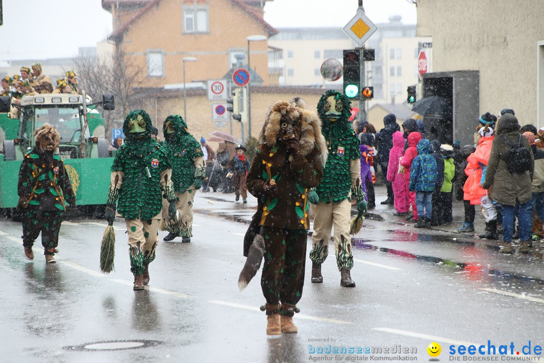 ANR - Fasnetsumzug: Friedrichshafen am Bodensee, 03.02.2019