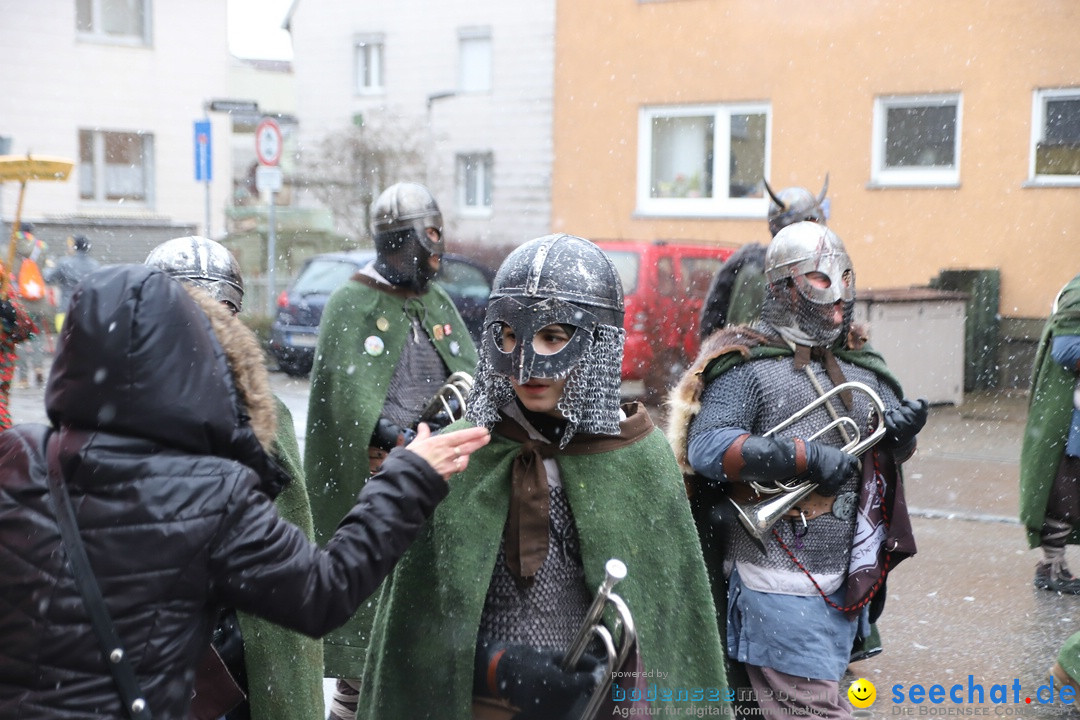 ANR - Fasnetsumzug: Friedrichshafen am Bodensee, 03.02.2019