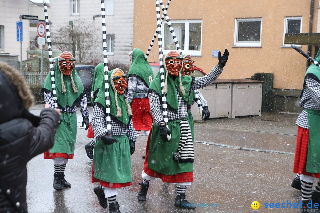 ANR - Fasnetsumzug: Friedrichshafen am Bodensee, 03.02.2019