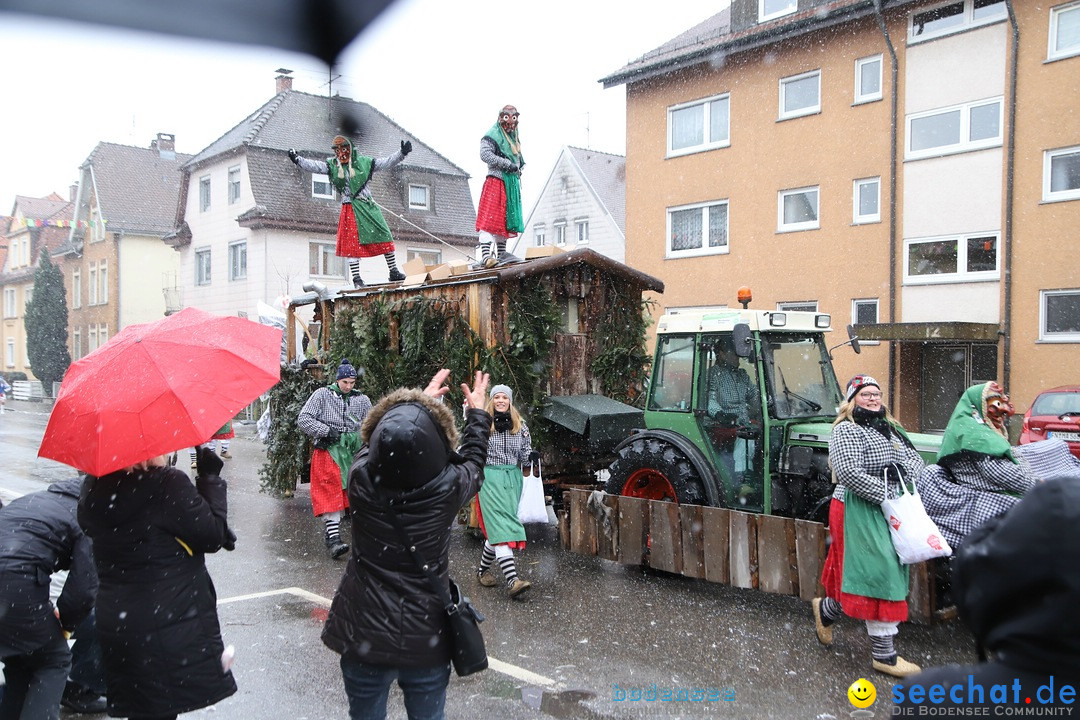 ANR - Fasnetsumzug: Friedrichshafen am Bodensee, 03.02.2019