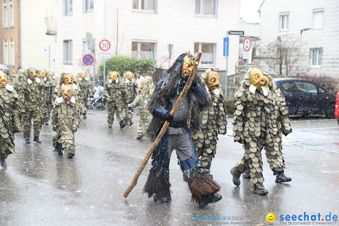 ANR - Fasnetsumzug: Friedrichshafen am Bodensee, 03.02.2019