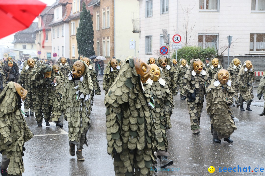 ANR - Fasnetsumzug: Friedrichshafen am Bodensee, 03.02.2019