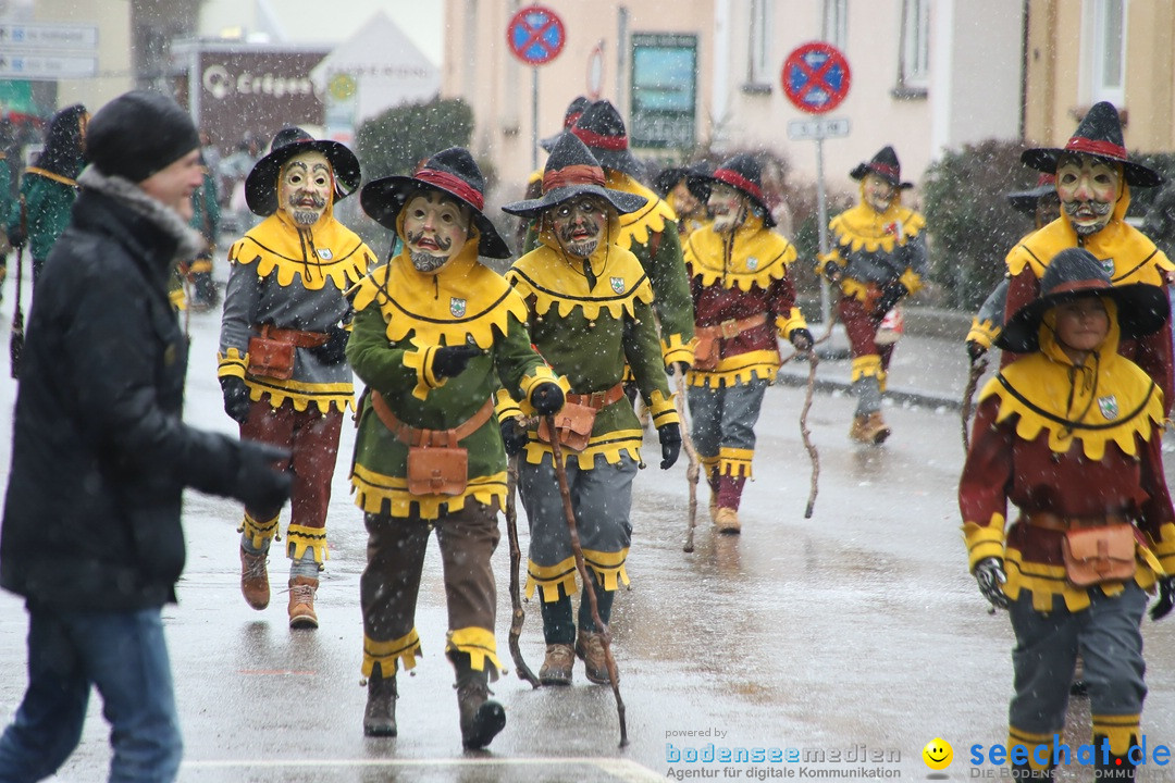 ANR - Fasnetsumzug: Friedrichshafen am Bodensee, 03.02.2019