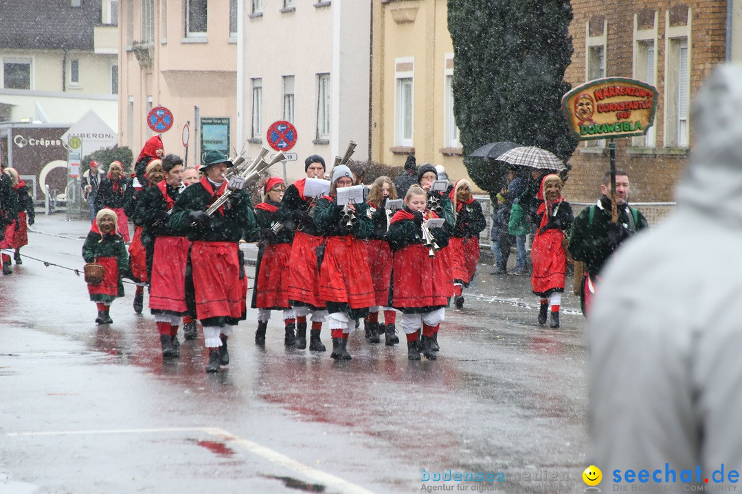 ANR - Fasnetsumzug: Friedrichshafen am Bodensee, 03.02.2019