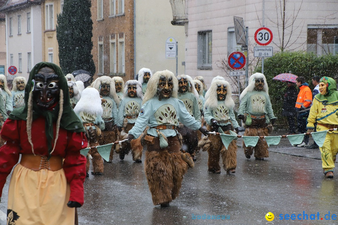 ANR - Fasnetsumzug: Friedrichshafen am Bodensee, 03.02.2019