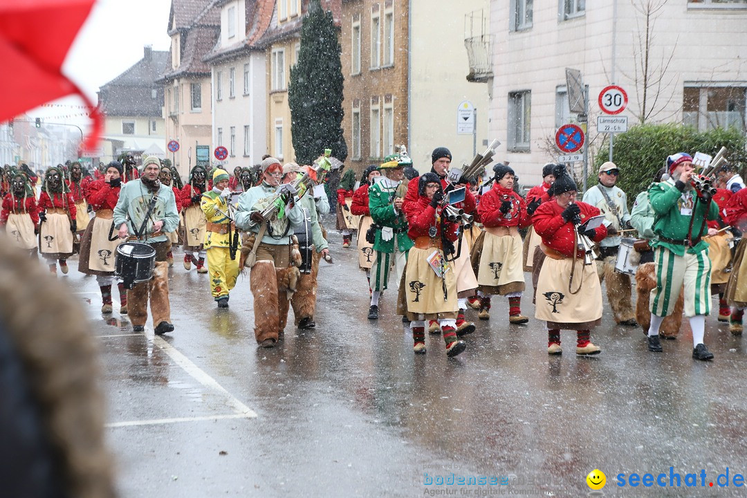 ANR - Fasnetsumzug: Friedrichshafen am Bodensee, 03.02.2019